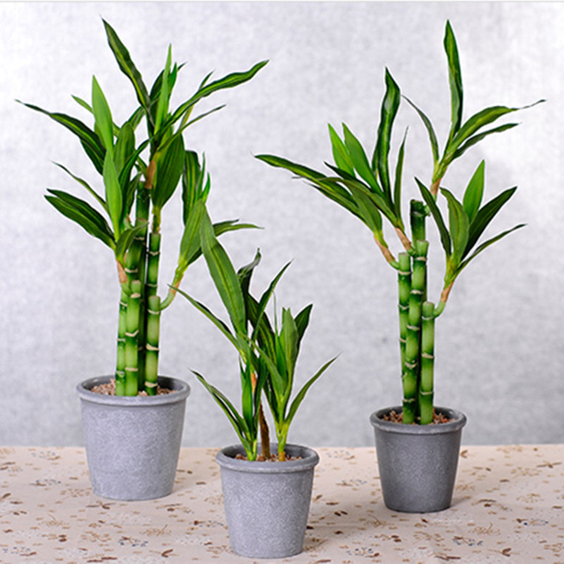 New 40cm Artificial Lucky Bamb - Outdoor Furniture Green ulasan dan harga